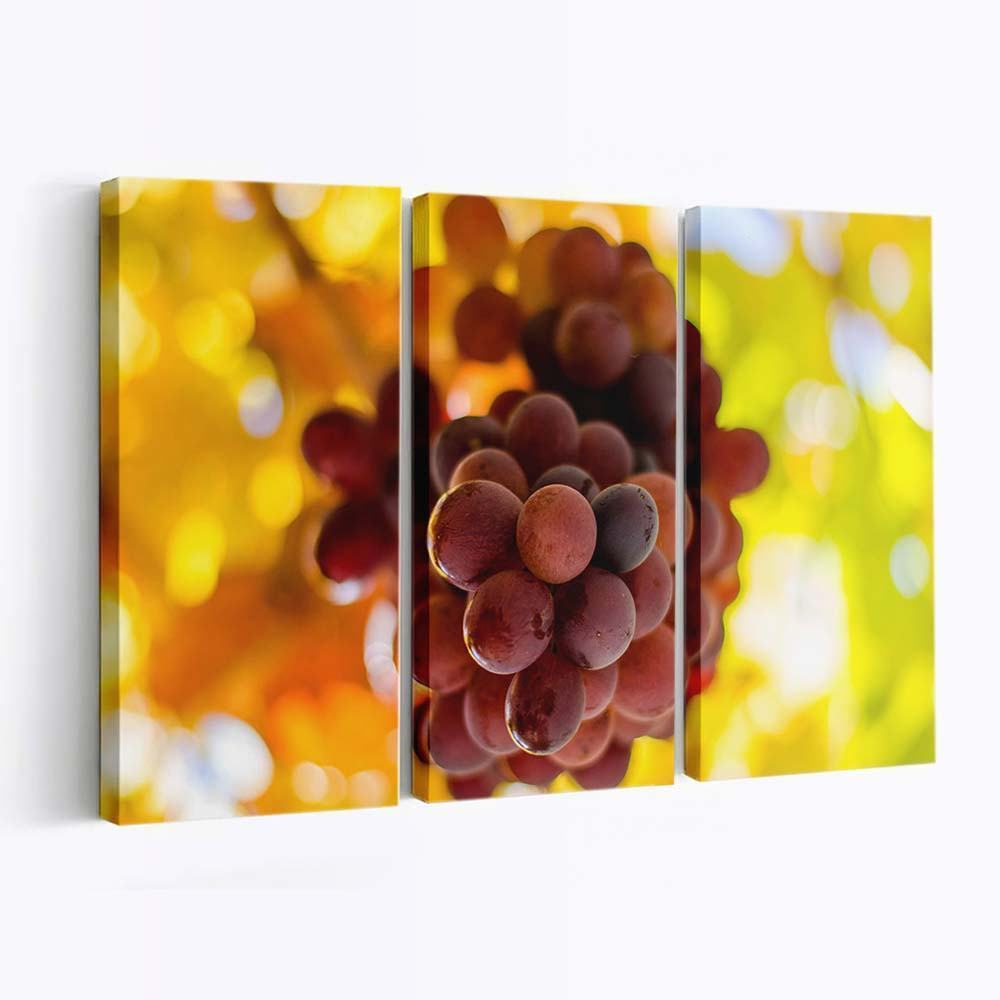 grapes 5 wallpaper